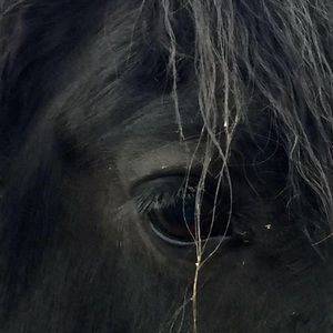 Meet your Posher, Kathy